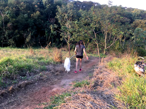 AssisCity - Parque da Juventude tem trilhas para passeios com os animais domésticos