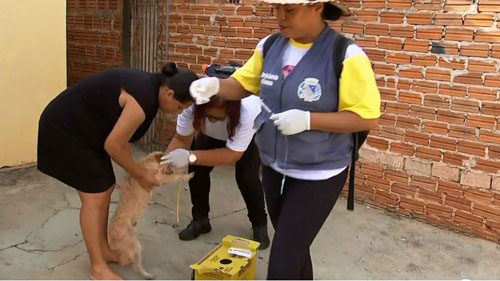 Divulgação G1 - Prefeitura de Marília faz busca por animais infectados na região onde foi registrada a morte por leishmaniose