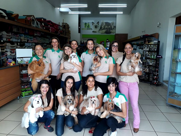 Divulgação - Vitrine Animal também tem serviço de dog walker, estética e hotelaria Divulgação - Vitrine Animal também tem serviço de dog walker, estética e hotelaria