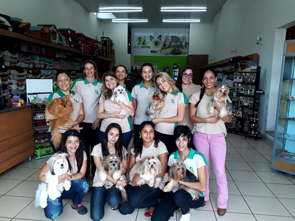 Divulgação - Vitrine Animal também tem serviço de dog walker, estética e hotelaria