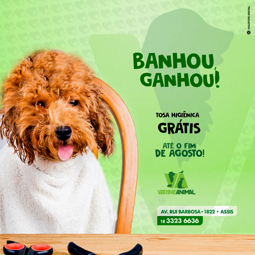 Divulgação - Aproveite a promoção da Vitrine Animal até 31 de agosto Divulgação - Aproveite a promoção da Vitrine Animal até 31 de agosto