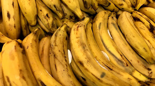 Divulgação - A banana nanica tem fibras que auxiliam no bom funcionamento intestinal, além de fósforo, que ajuda na saúde dos dentes e ossos, e a vitamina C Divulgação - A banana nanica tem fibras que auxiliam no bom funcionamento intestinal, além de fósforo, que ajuda na saúde dos dentes e ossos, e a vitamina C
