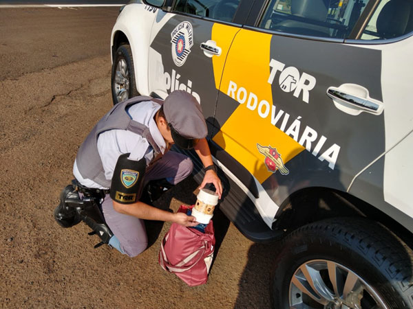 Divulgação PM Rodoviária - Canários da terra estavam escondidos em peça de PVC e foram encontrados durante revista em ônibus em Ourinhos