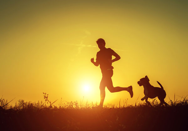 Divulgação - Além dos benefícios para a saúde, a corrida estimula o cão a explorar novos lugares, cheiros e melhora o relacionamento com o tutor