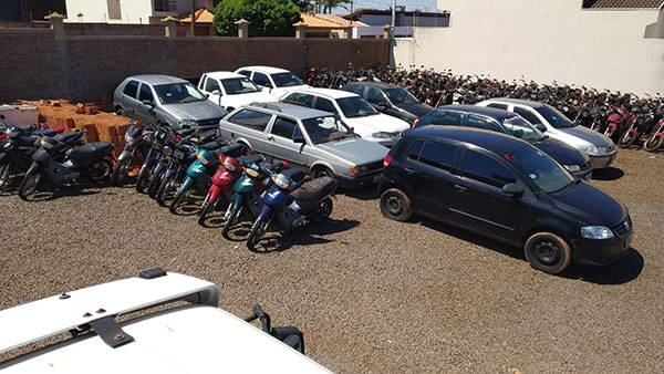 divulgação - A visitação aos lotes poderá ser feita entre os dias 1 e 4 de novembro divulgação - A visitação aos lotes poderá ser feita entre os dias 1 e 4 de novembro