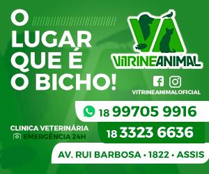 Divulgação Divulgação