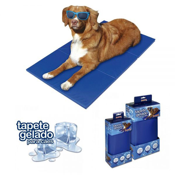 Divulgação - Tapete gelado é ótimo para espantar o calor do seu pet e não precisa ser congelado Divulgação - Tapete gelado é ótimo para espantar o calor do seu pet e não precisa ser congelado
