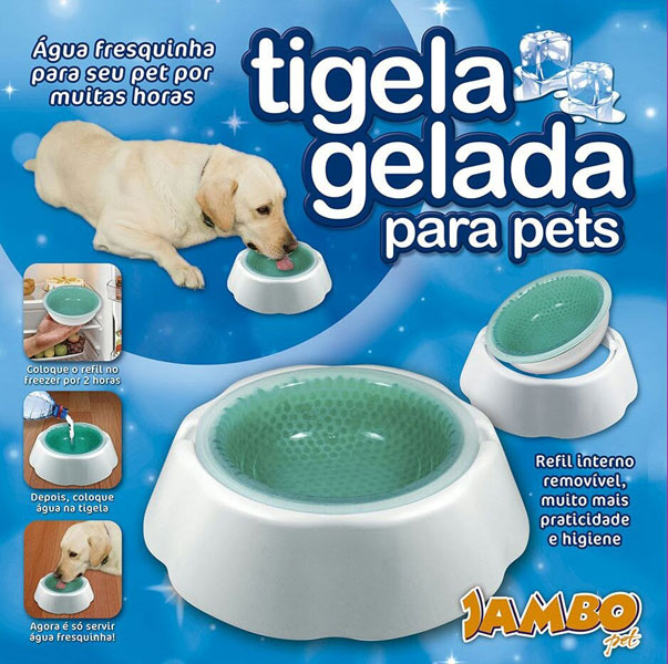 Divulgação - Tigela especial deixa a água do seu bichinho bem fresca Divulgação - Tigela especial deixa a água do seu bichinho bem fresca
