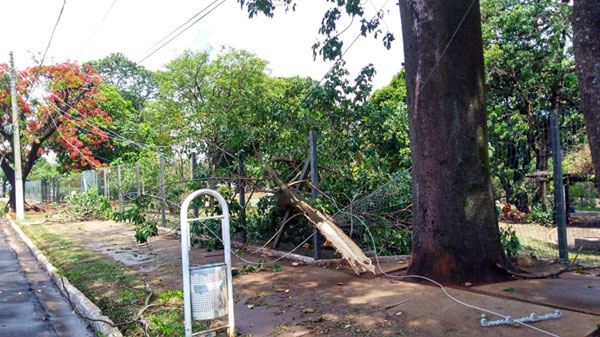 AssisCity - Ao todo, sete bairros ficaram sem energia elétrica após chuva desta terça-feira em Assis AssisCity - Ao todo, sete bairros ficaram sem energia elétrica após chuva desta terça-feira em Assis