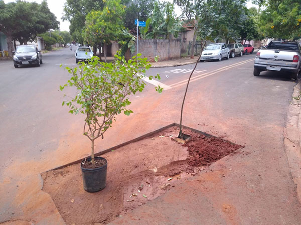 Divulgação - Buraco foi aberto pela Sabesp no dia 29 de outubro na Rua Amador Bueno, em Assis