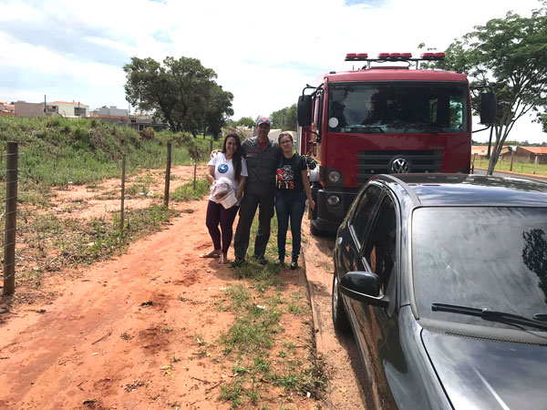 Divulgação - Bombeiros e voluntários montaram uma verdadeira força tarefa para resgatarem o animal