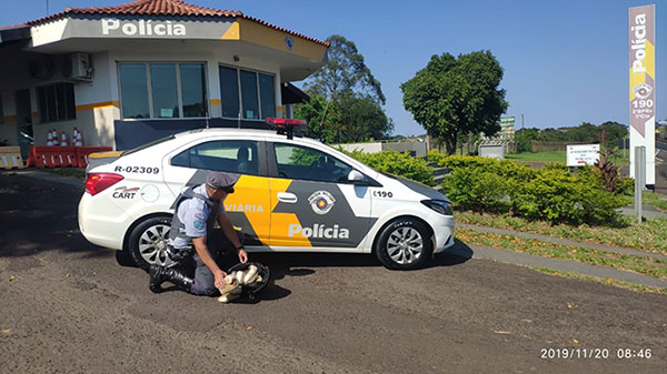 Divulgação/ Polícia Militar Rodoviária - A droga estava escondida na bagagem de mão da mulher Divulgação/ Polícia Militar Rodoviária - A droga estava escondida na bagagem de mão da mulher