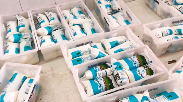 Divulgação - Cooperativa de Laticínios da Aprumar tem produção semanal de 1500 litros de leite