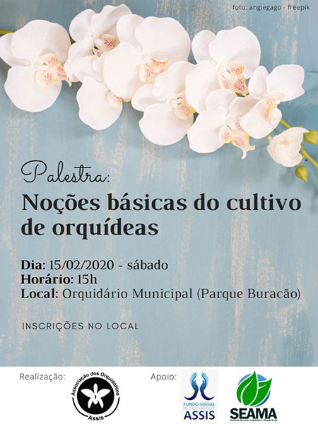 divulgação divulgação