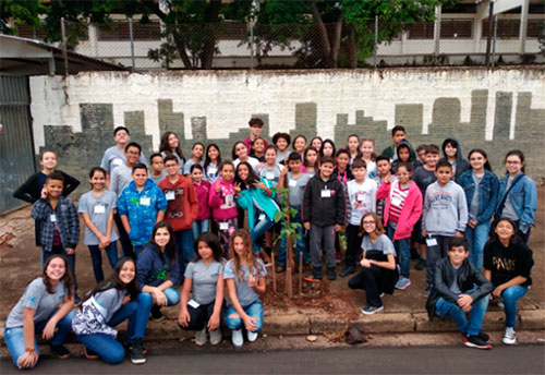 Divulgação - Alunos participaram do plantio de mudas de ipê no entorno da escola Divulgação - Alunos participaram do plantio de mudas de ipê no entorno da escola