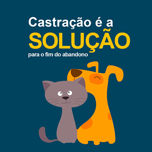 Divulgação - Cadastramento para castração de animais será de 3 a 6 de março em Paraguaçu