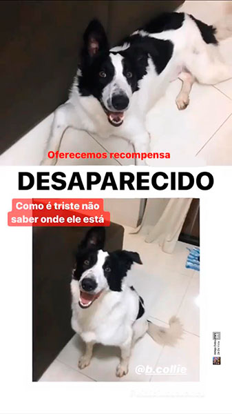 Divulgação Divulgação