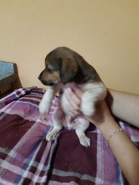 divulgação divulgação