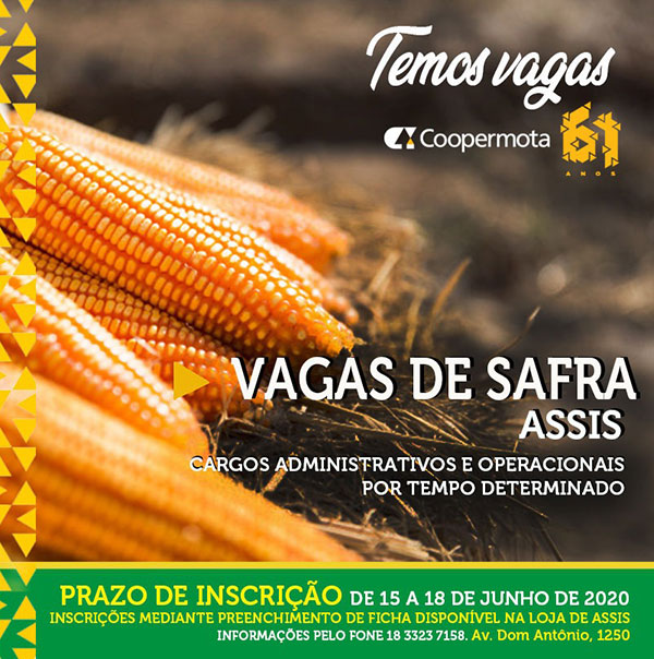 Divulgação Divulgação