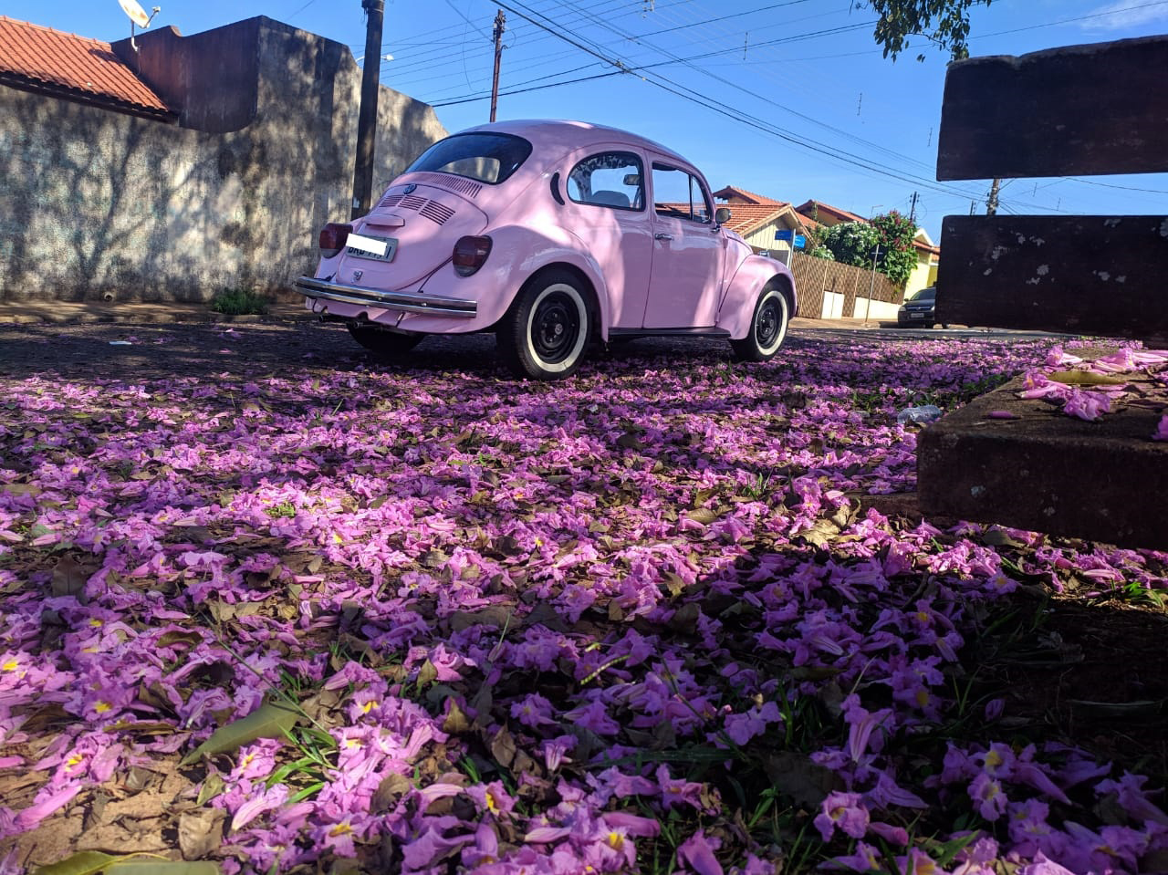 Divulgação - Rua Nicolau Martins Teixeira - Assis Divulgação - Rua Nicolau Martins Teixeira - Assis