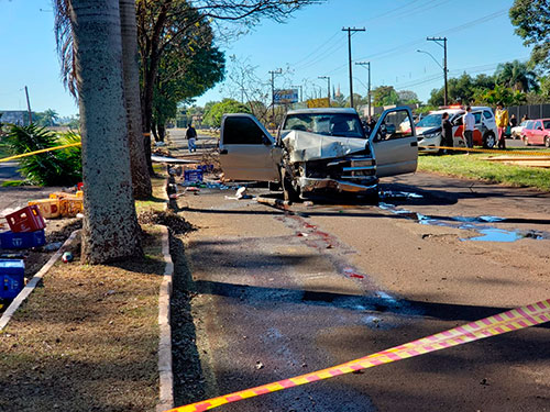 Divulgação - O veículo bateu em um poste de iluminação, duas árvores e derrubou um coqueiro