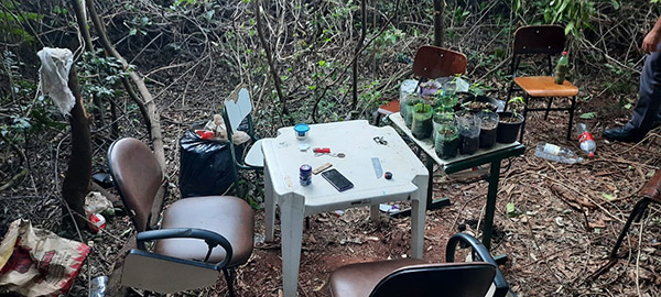 Divulgação PM - As mudas, adubos e apetrechos para mexer com as plantas foram apreendidos Divulgação PM - As mudas, adubos e apetrechos para mexer com as plantas foram apreendidos