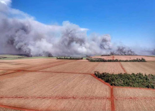 A Nova América tem investido em monitoramento de focos de incêndio via satélite A Nova América tem investido em monitoramento de focos de incêndio via satélite