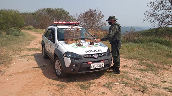 divulgação PM Ambiental - O homem foi flagrado enquanto pendurava uma armadilha em uma cerca divulgação PM Ambiental - O homem foi flagrado enquanto pendurava uma armadilha em uma cerca
