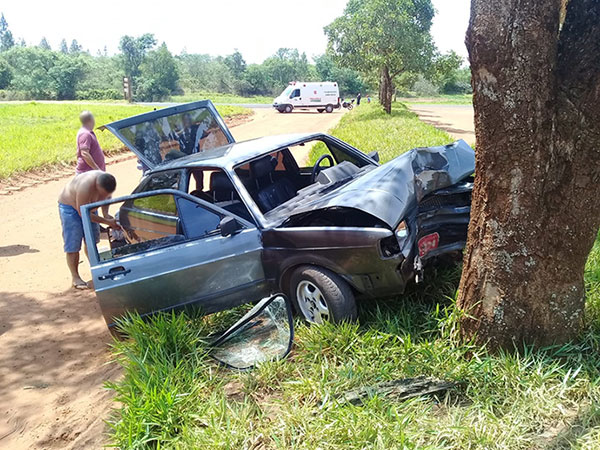 divulgação - Carro bateu contra uma árvore