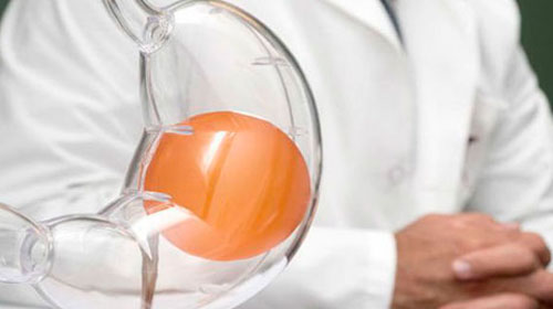 Divulgação - Alimentação deve ser colorida e composta por alimentos variados Divulgação - Alimentação deve ser colorida e composta por alimentos variados