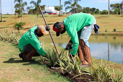Divulgação - Manutenção de jardim Divulgação - Manutenção de jardim