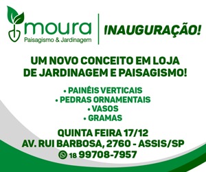 Divulgação Divulgação