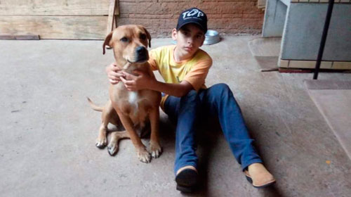 Divulgação - Criança está sofrendo com o sumiço da cachorra Divulgação - Criança está sofrendo com o sumiço da cachorra