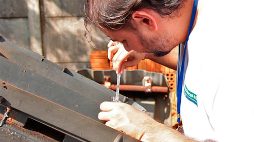 Divulgação - Água acumulada em pneus, vasos de flores e outros recipientes podem ocasionar a proliferação da doença Divulgação - Água acumulada em pneus, vasos de flores e outros recipientes podem ocasionar a proliferação da doença