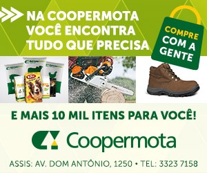 Divulgação Divulgação