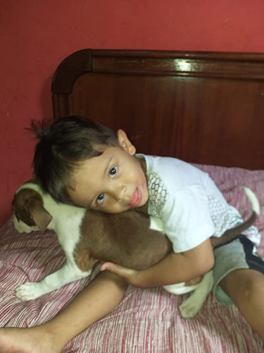 divulgação - Criança de 2 anos sofre com desaparecimento de cachorra; família oferece recompensa para quem localizá-la divulgação - Criança de 2 anos sofre com desaparecimento de cachorra; família oferece recompensa para quem localizá-la