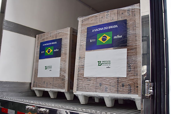 divulgação divulgação