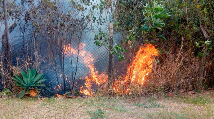 Divulgação - Equipe do Corpo de Bombeiros foi acionada para conter as chamas