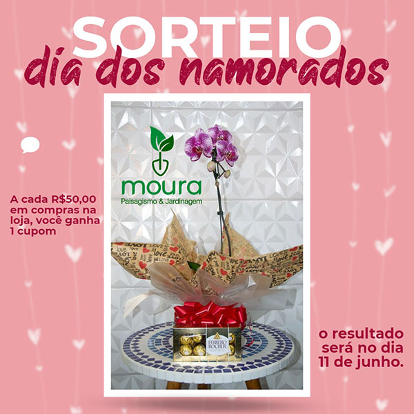 divulgação divulgação