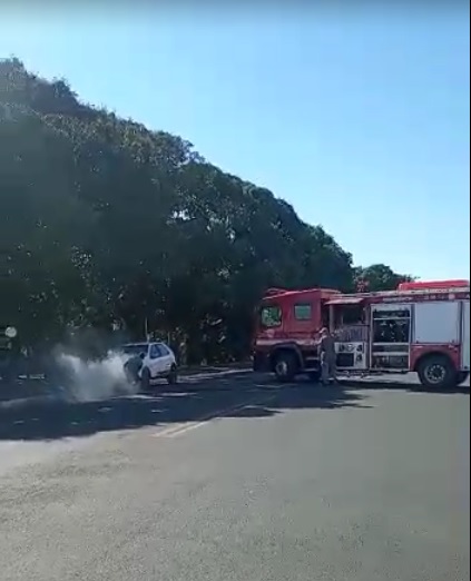divulgação divulgação