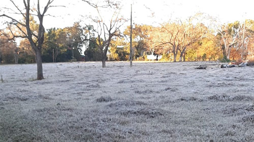 divulgação - Geada cobre o pasto na Água da Fortuna