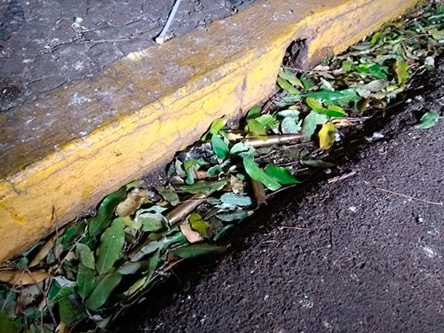 Divulgação - Munições ficaram espalhadas em ruas de Araçatuba (SP) após ataque