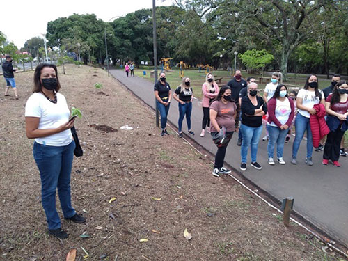 divulgação - Plantio foi realizado neste sábado divulgação - Plantio foi realizado neste sábado