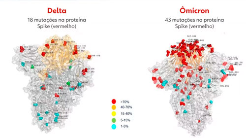 Divulgação - Primeira imagem da variante ômicron revela mais que o dobro de mutações que a delta — Foto: Cortesia Hospital Bambino Gesù de Roma Divulgação - Primeira imagem da variante ômicron revela mais que o dobro de mutações que a delta — Foto: Cortesia Hospital Bambino Gesù de Roma