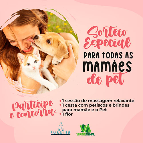 Divulgação Divulgação