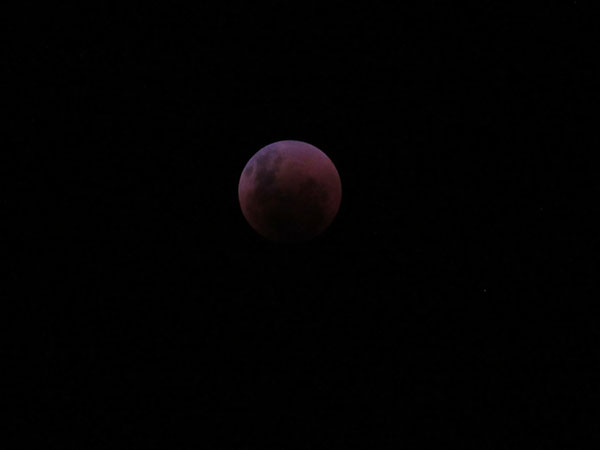 Melissa de Moraes Maia - Ápice do eclipse lunar da 'Lua de Sangue' - Foto: Melissa de Moraes Maia