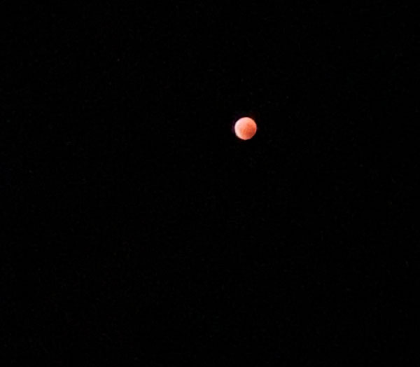 Lorena de Souza - Eclipse Lunar 'Lua de Sangue' registrada por smartphone - Foto: Lorena de Souza Machado