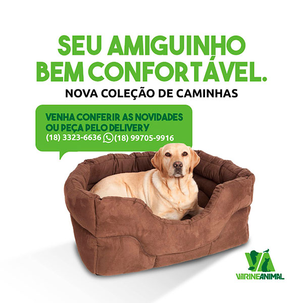 Divulgação Divulgação