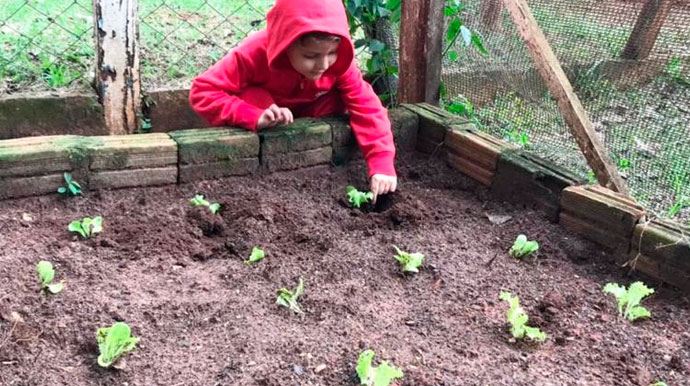 Divulgação - Plantio foi realizado pelas turmas da educação infantil - Foto: Divulgação Divulgação - Plantio foi realizado pelas turmas da educação infantil - Foto: Divulgação