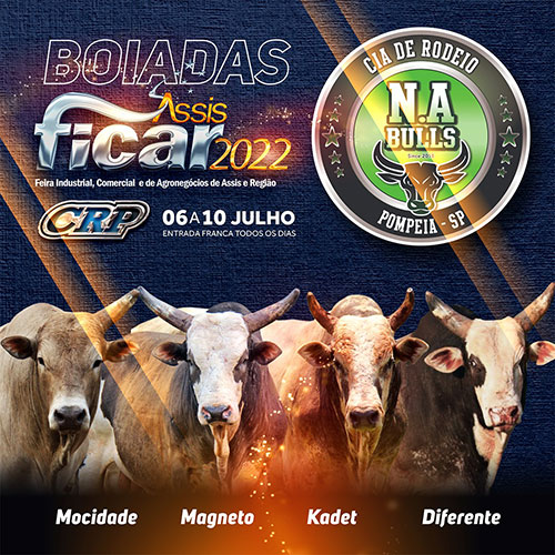 Divulgação - CIA de rodeio N.A Bulls - Foto: Divulgação Divulgação - CIA de rodeio N.A Bulls - Foto: Divulgação